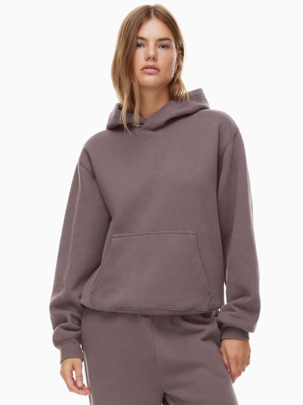 Aritzia | 2 | TNA | Cozy Fleece Hoodie